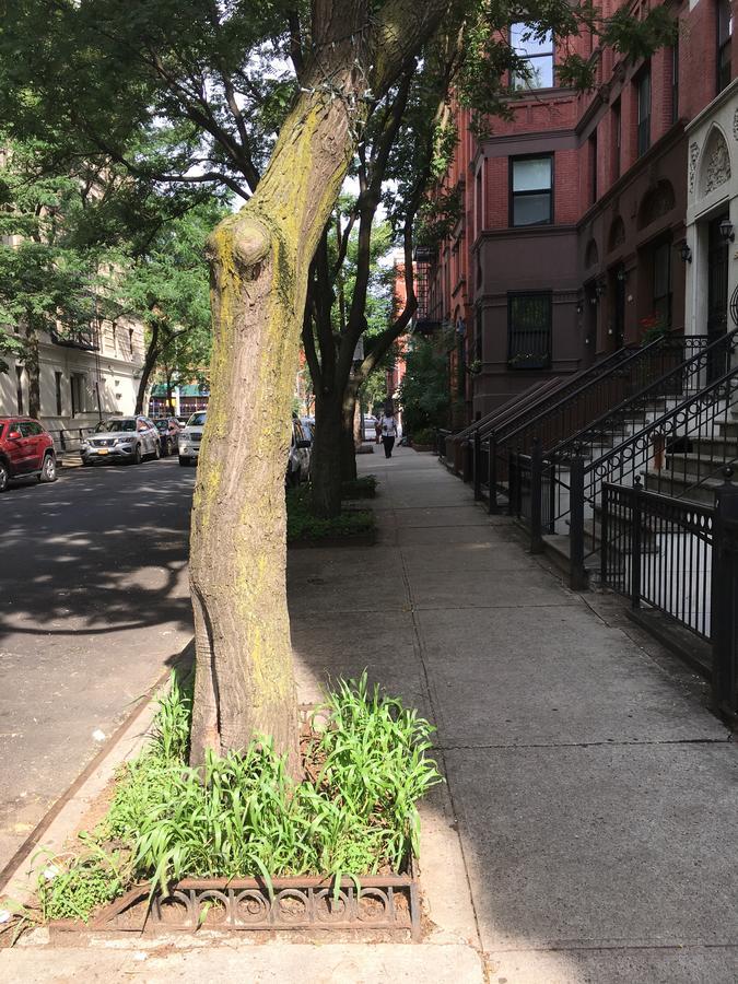 Nyc Townhouse 2* Nueva York